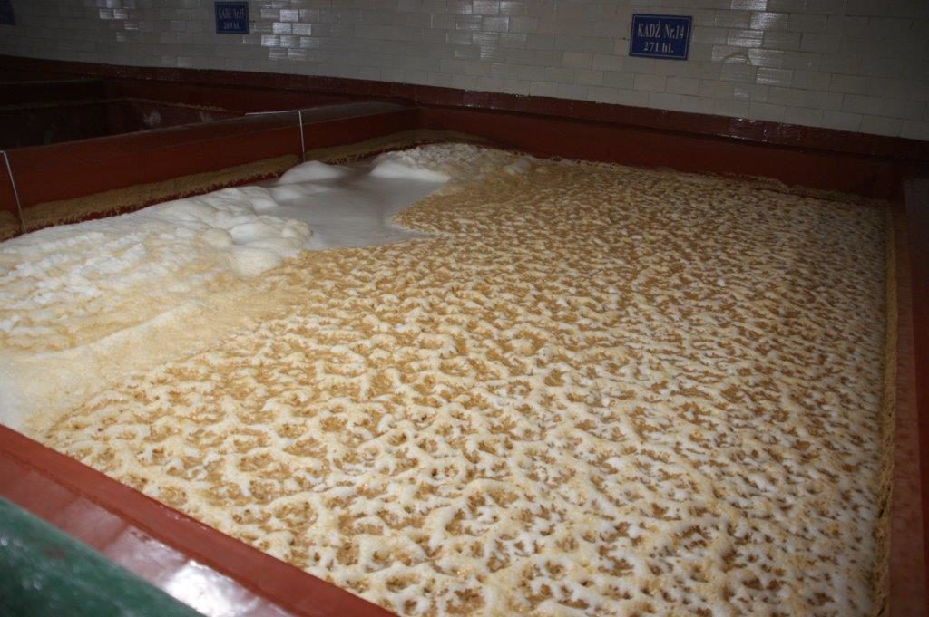 otwarta fermentacja w browarze